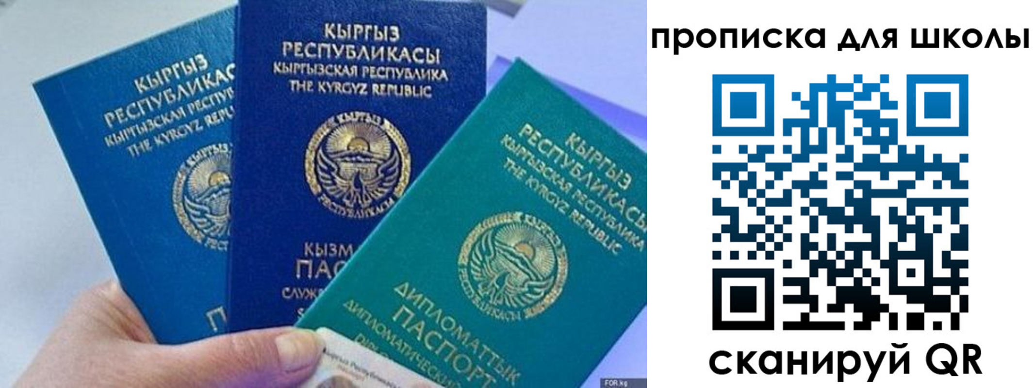 прописка регистрация в Алексеевке